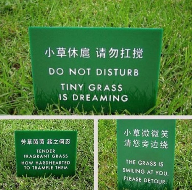 bad_translations_03