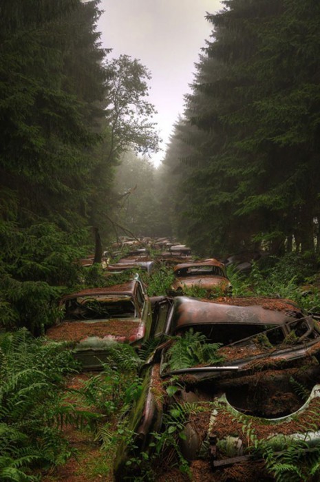 chatillon-car-graveyard-abandoned-cars-cemetery-belgium-4-718x1080