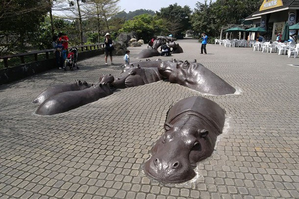 hippopotames à Taipei (Taiwan)