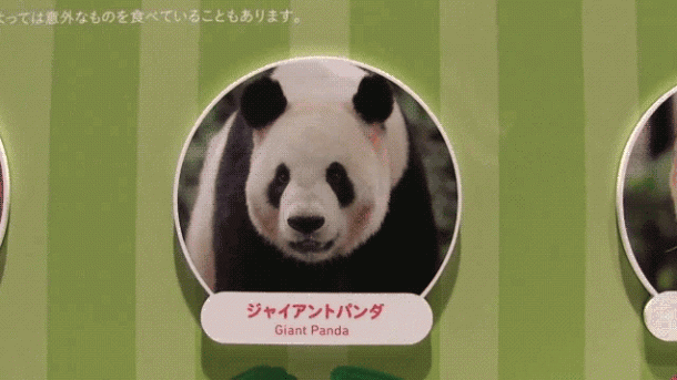 japanese_poop_museum_08