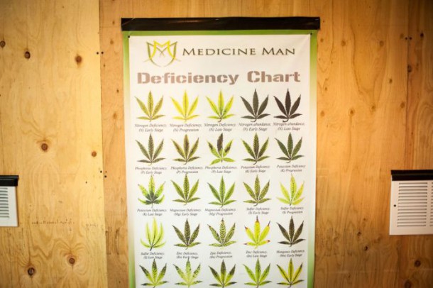 An informational poster at Medicine Man in Denver.