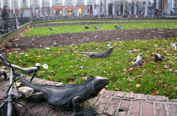 Parc aux iguanes à Amsterdam (Pays-bas)