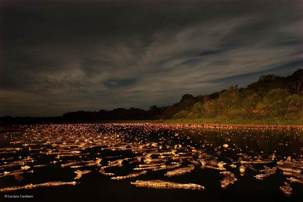 © Luciano Candisani, Brazil