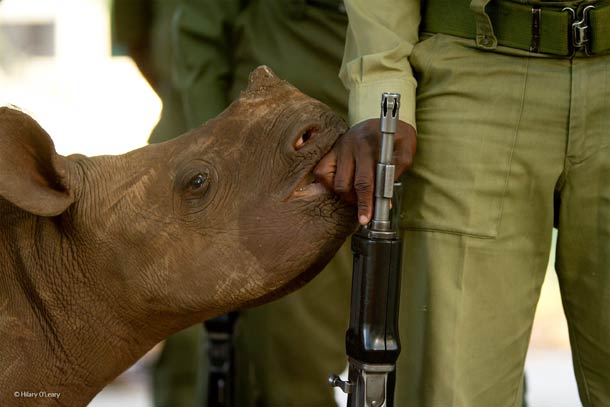 © Hilary O’Leary, Zimbabwe