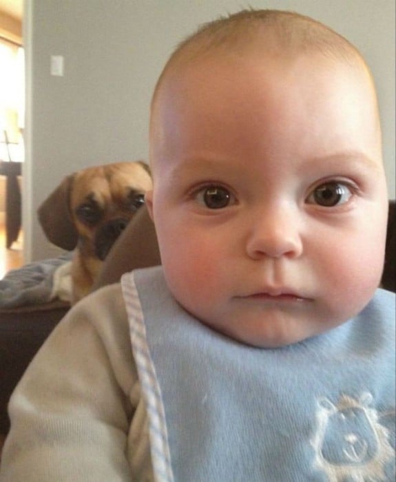 "N'oublies pas doggy pour ton selfie Baby" 