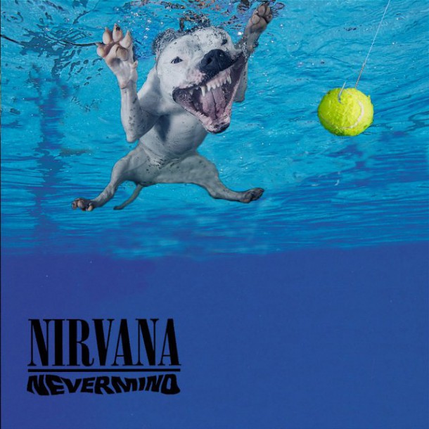 nirvana-meme