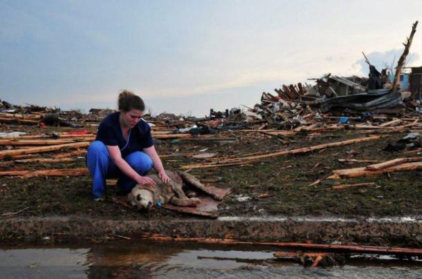 chien tornade