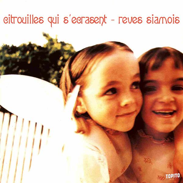 citrouilles-qui-s-ecrasent-reves-siamois