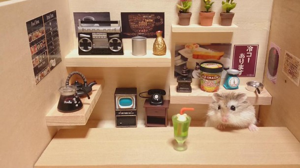 hamster-bartender-miniature-bar-kawanabesatou-1