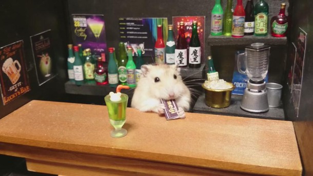 hamster-bartender-miniature-bar-kawanabesatou-113