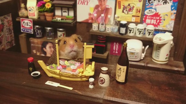 hamster-bartender-miniature-bar-kawanabesatou-18