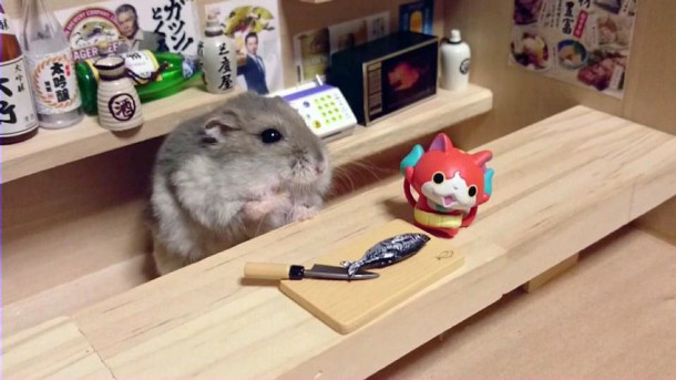 hamster-bartender-miniature-bar-kawanabesatou-19