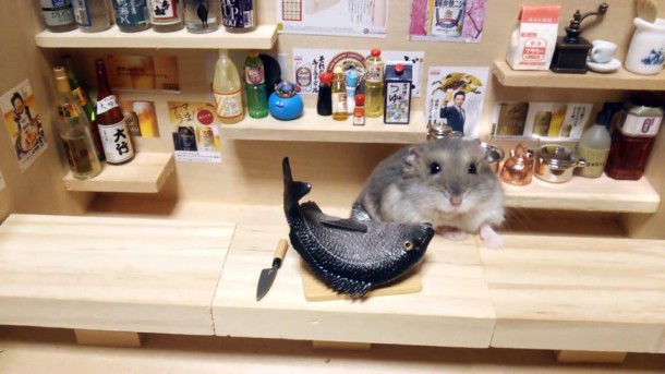 hamster-bartender-miniature-bar-kawanabesatou-2