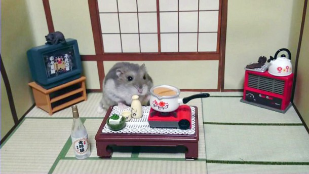 hamster-bartender-miniature-bar-kawanabesatou-20