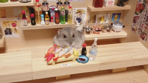 hamster-bartender-miniature-bar-kawanabesatou-3