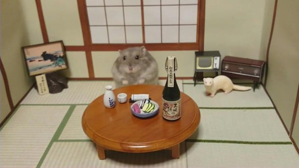 hamster-bartender-miniature-bar-kawanabesatou-6