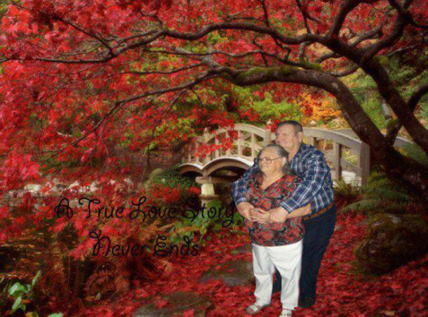 True-Love-659x488