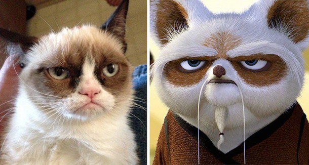 Grumpy Cat et Maître Shifu de Kung-fu Panda