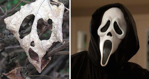 Une feuille morte étrange et le masque de Scream