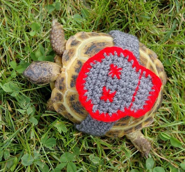 Tortue-vetement-laine-pattern-MossyTortoise-1