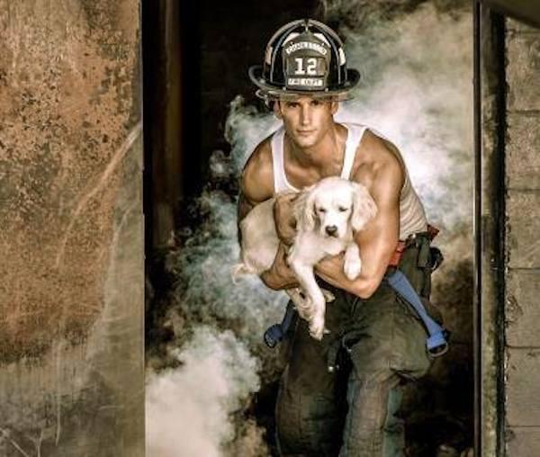Des Pompiers Et Des Animaux Posent Pour Un Calendrier 2015 Qui Va Vous Donner Chaud