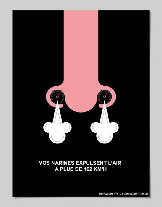 w_ces-affiches-minimalistes-vous-devoilent-detonnants-faits-a-propos-de-votre-corps-4