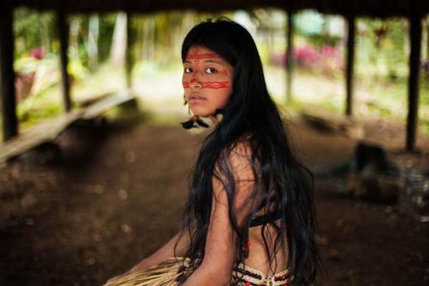 Forêt amazonienne