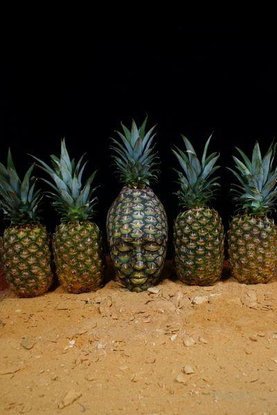 ananas-5_resultat