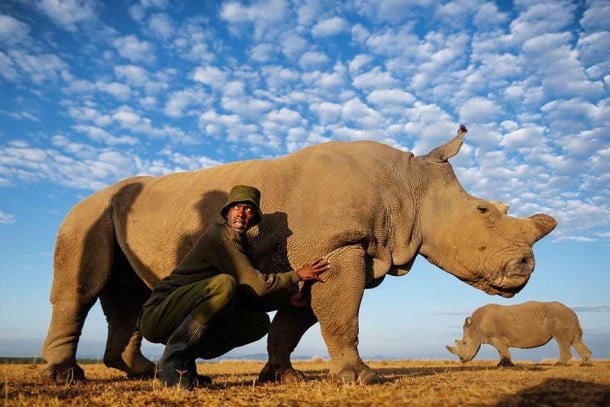 last-northern-white-rhinoceros-conservation-rangers-kenya-2