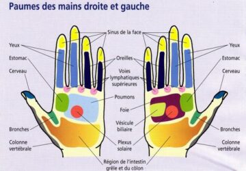 réflexologie main