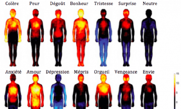 Les émotions négatives ont des effets néfastes sur notre corps