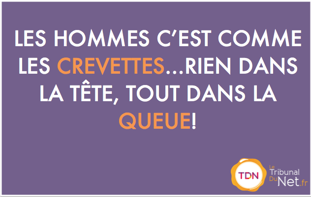 20 Phrases Insolites Sur Le Sexe