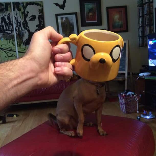kids-superheroes-breakfast-mugshot-lance-curran-12