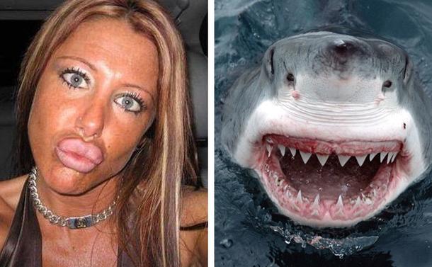 selfiesrequins