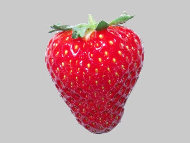 fraise-cireine-fruit-2r