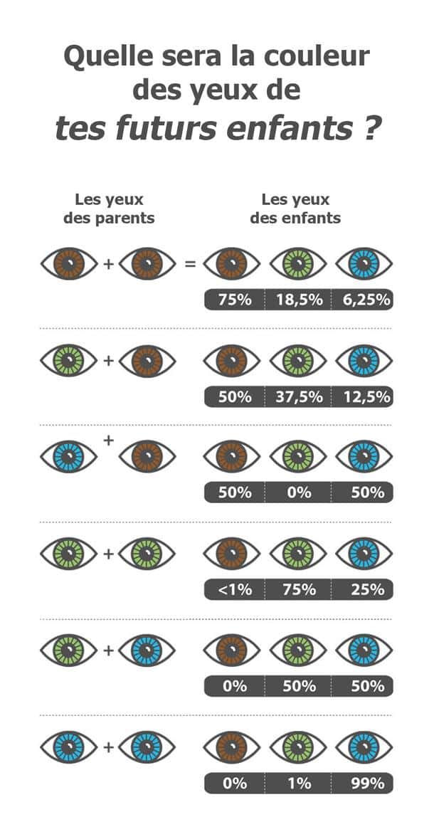 Grâce à cette infographie, vous allez pouvoir savoir de quelle couleurs seront les yeux de votre