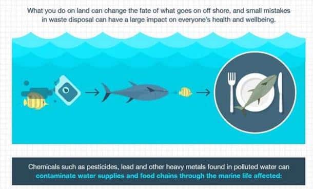 Une infographie alarmante concernant la  pollution  des oc ans