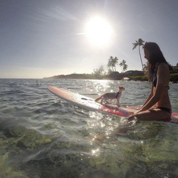 surf1
