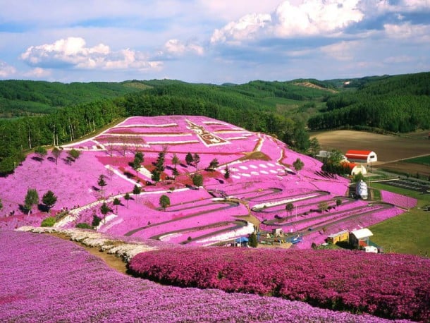 Takinoue Park au Japon 