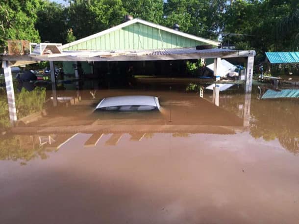 dad-son-save-dogs-flood-texas-2