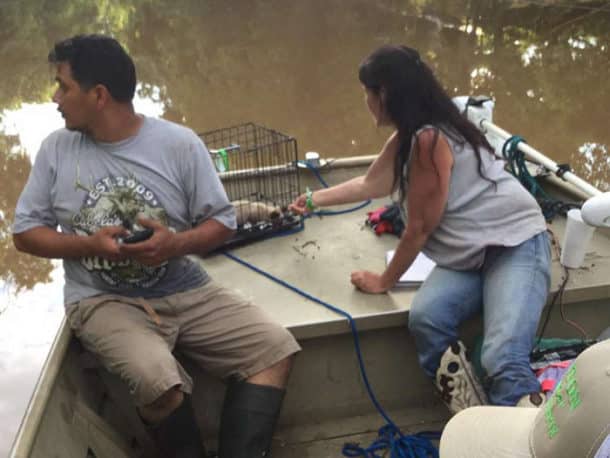 dad-son-save-dogs-flood-texas-27