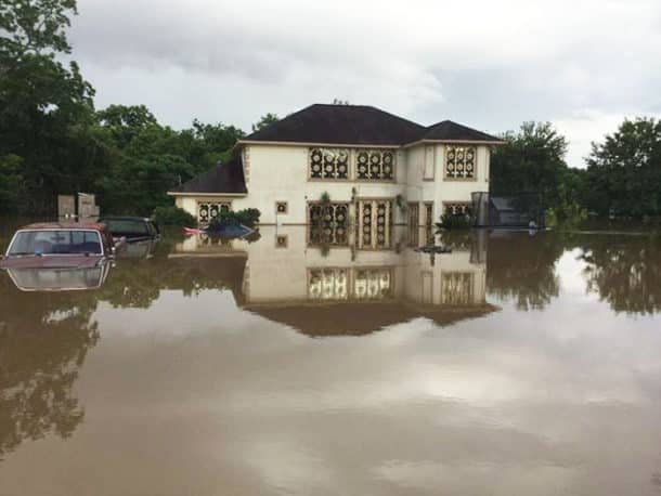 dad-son-save-dogs-flood-texas-29