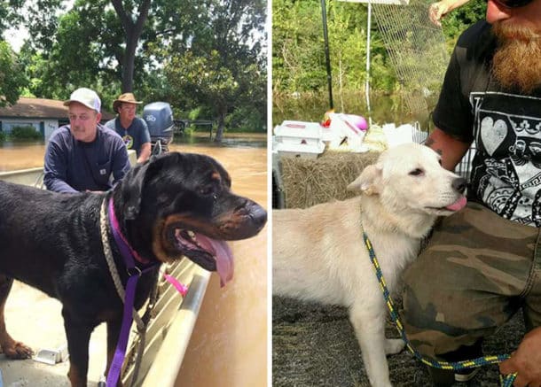 dad-son-save-dogs-flood-texas-30