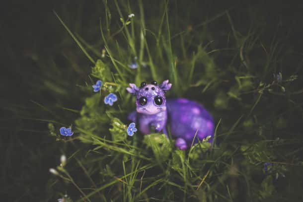 Animal1