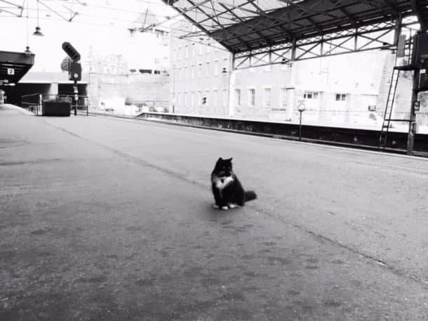 train chat