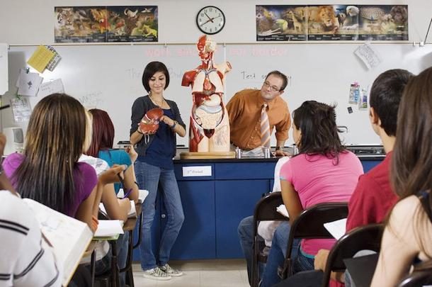 dissection