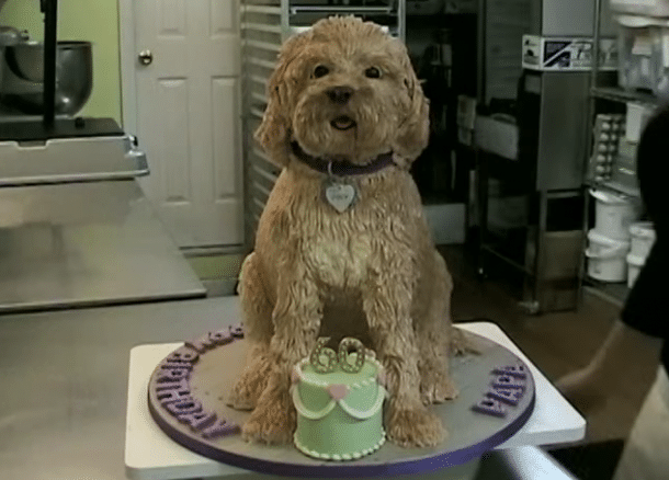 Elle Realise Un Gateau D Anniversaire A L Effigie Du Chien De Son Papa Le Resultat Est Bluffant Video