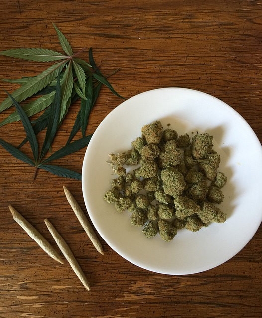 légalisation du cannabis