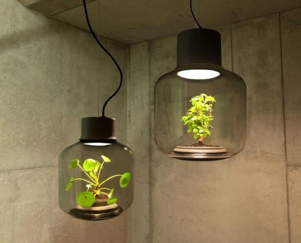 Mygdal Plantlamp : des lampes qui permettent de faire pousser des plantes  en intérieur sans eau ni lumière naturelle