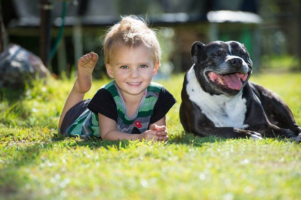 enfant avec son pitbull